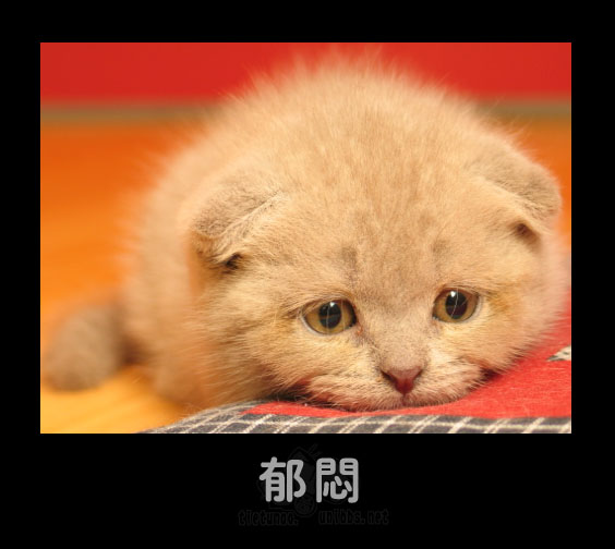 郁闷